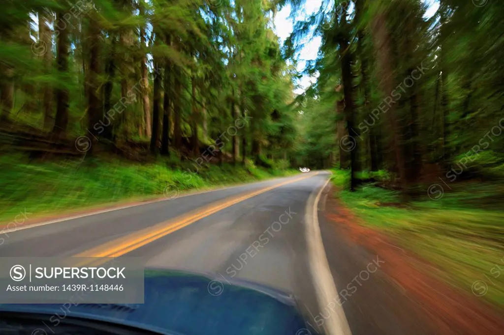 Driving through forest, Mount Rainier National Park, Washington, USA