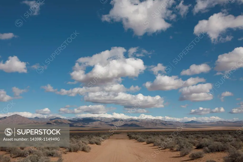 Empty dirt road in desert