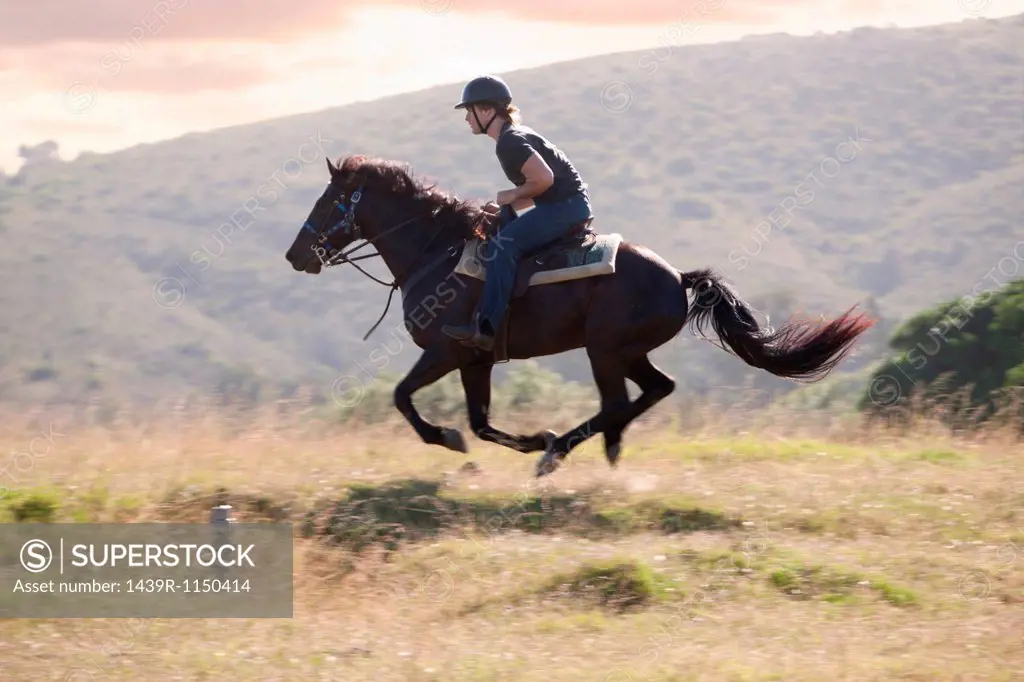 Man riding horse in rural landscape