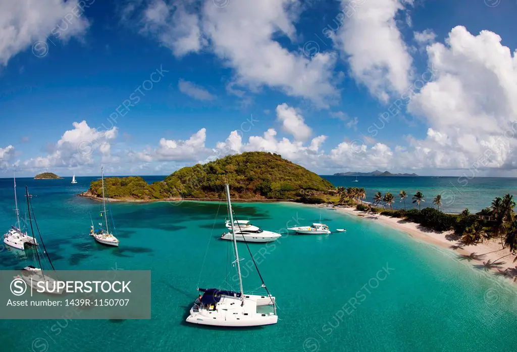 Sailboats in tropical water