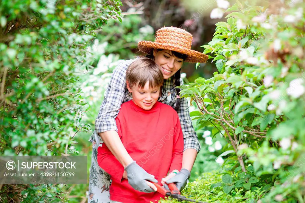 Mother and son trimming hedges