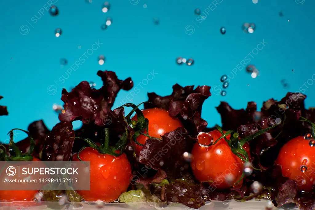 Lettuce and tomatoes splashing in water