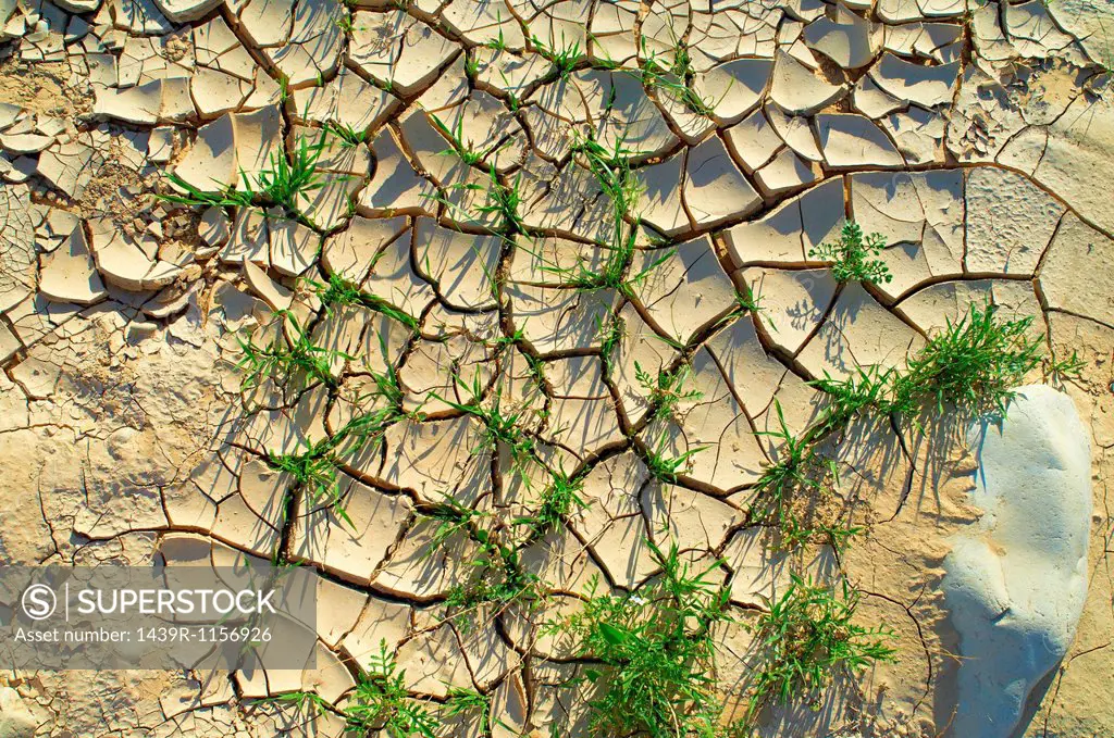 Dried riverbed (wadi), Red Sea, Israel