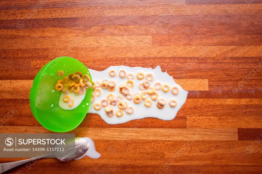 Bowl of cereal spilled on floor