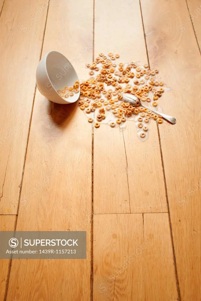Bowl of cereal spilled on floor