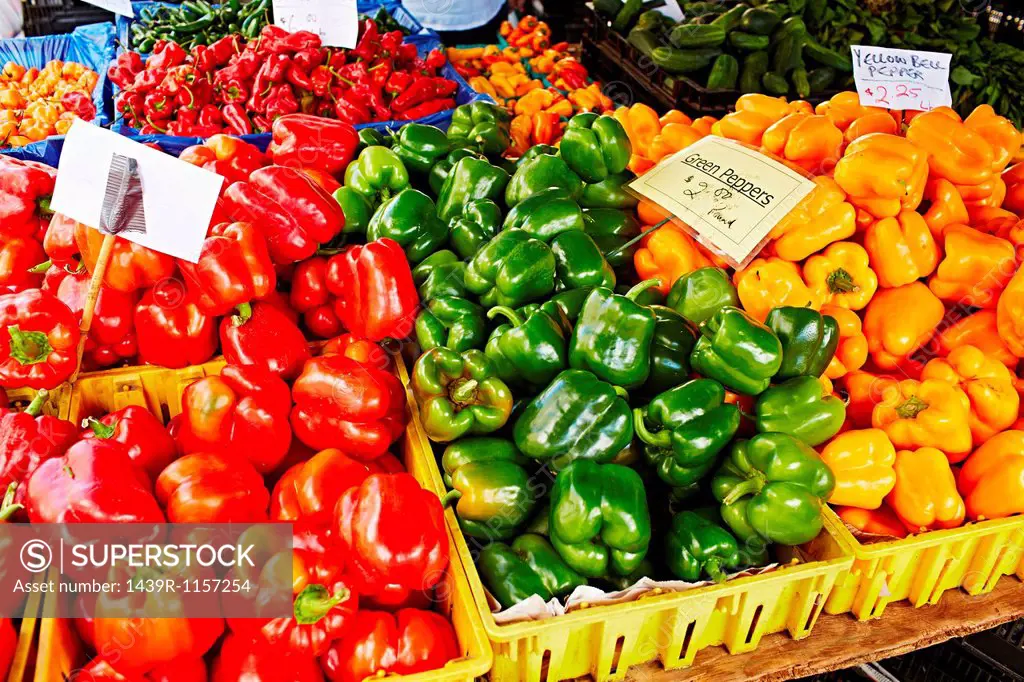 Fresh bell peppers for sale