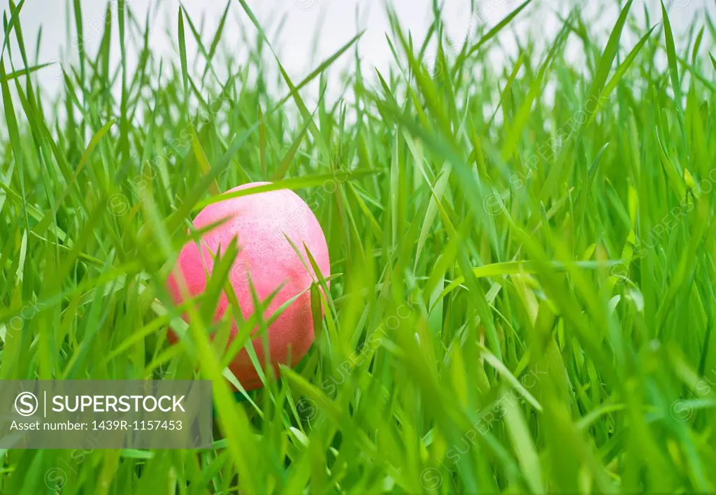 Pink easter egg hiding in grass