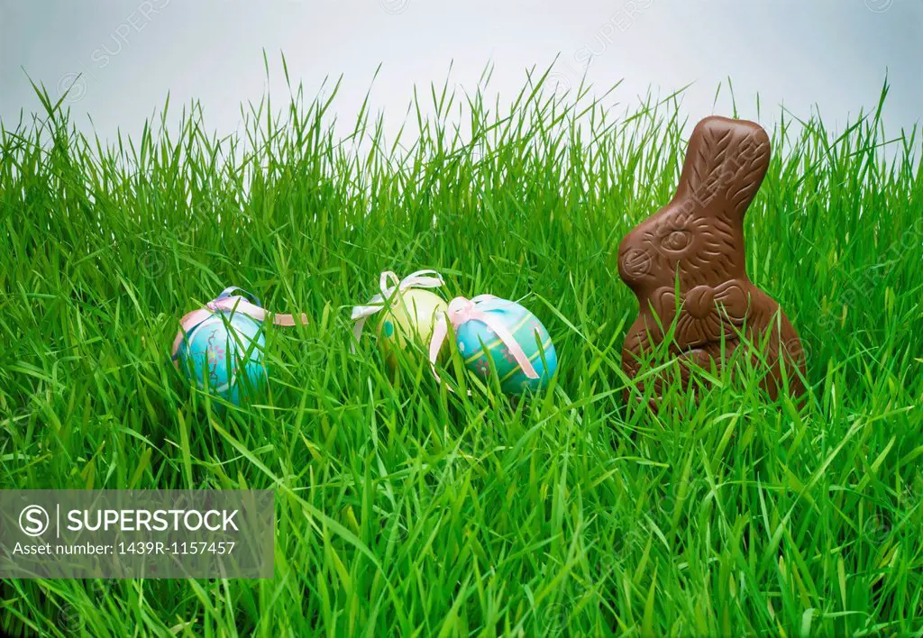 Easter eggs and chocolate bunny hiding in grass