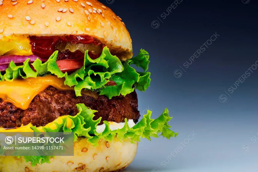 Burger, cropped