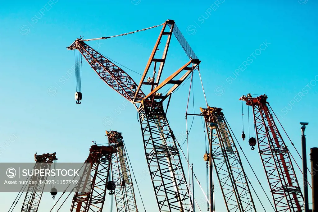 Group of construction cranes