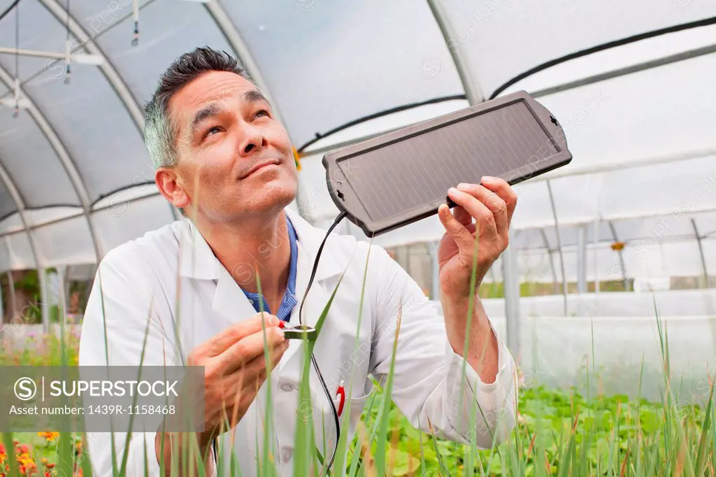 Mature man holding solar panel over plants in greenhouse