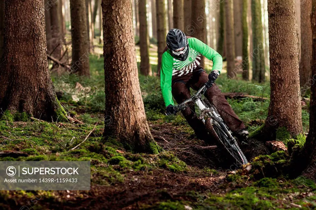 Mountain biker riding through trees