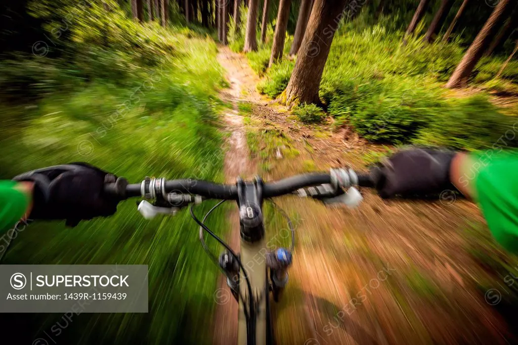 Mountain biker speeding down forest path