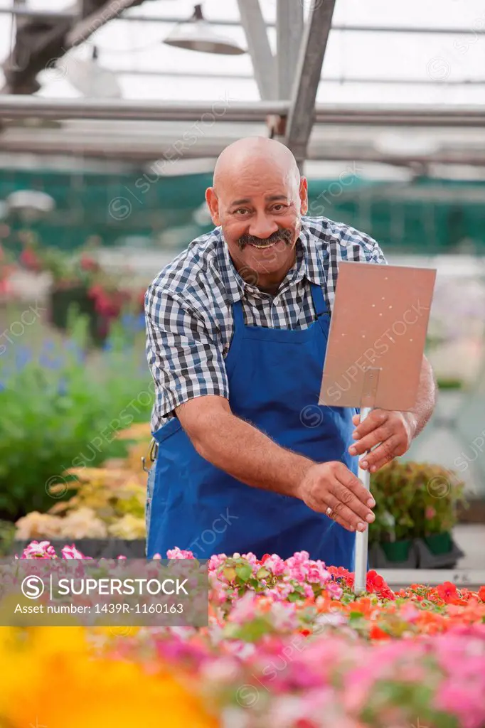 Mature gardener working in garden centre, smiling