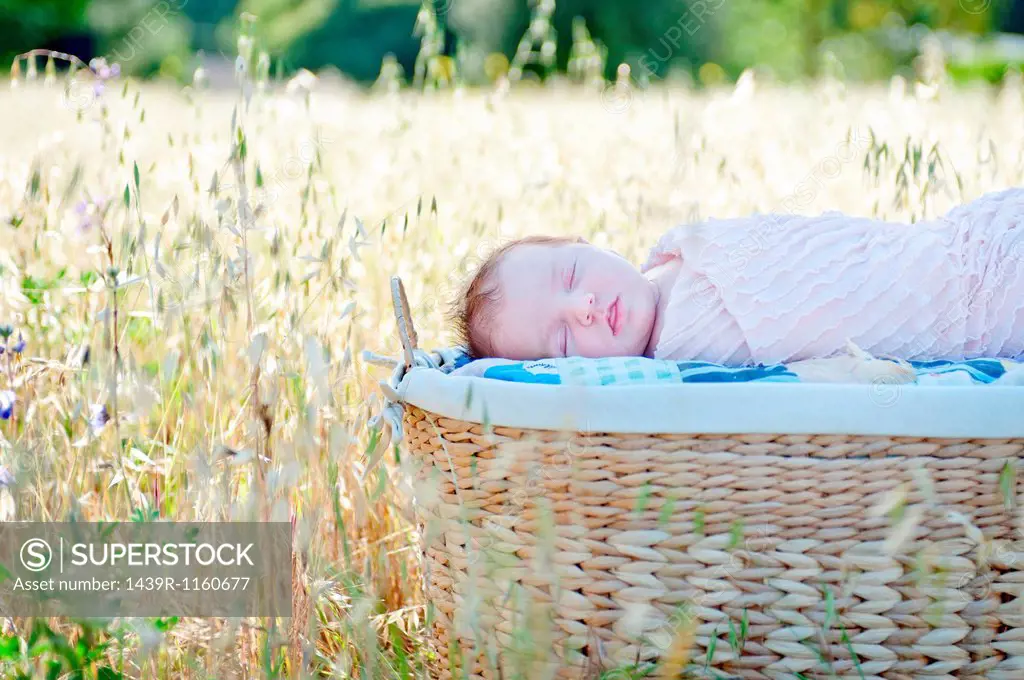 Newborn baby girl sleeping in moses basket in field