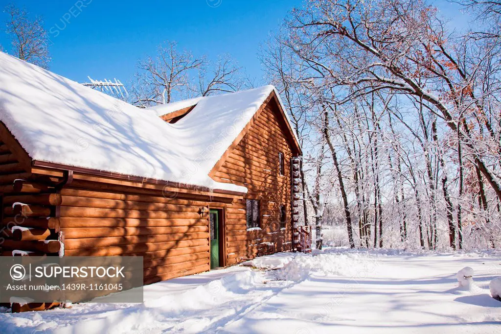 Cabin in snow covered forest