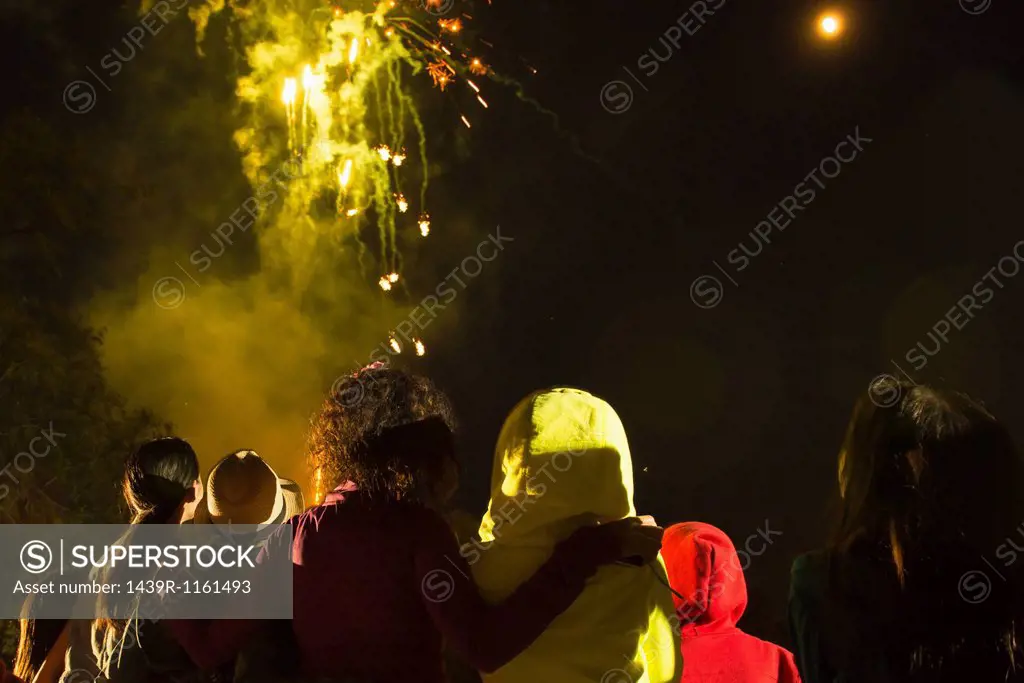 Group of people watching firework display
