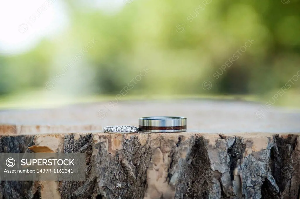 Two silver wedding rings displayed on tree trunk