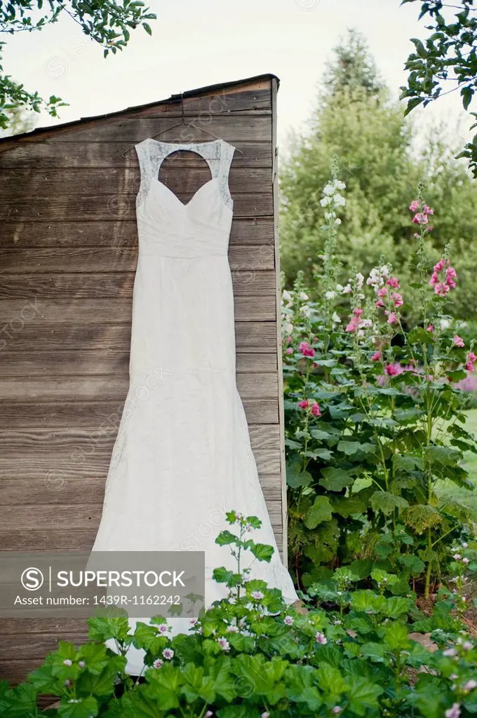 Wedding dress hanging on garden shed