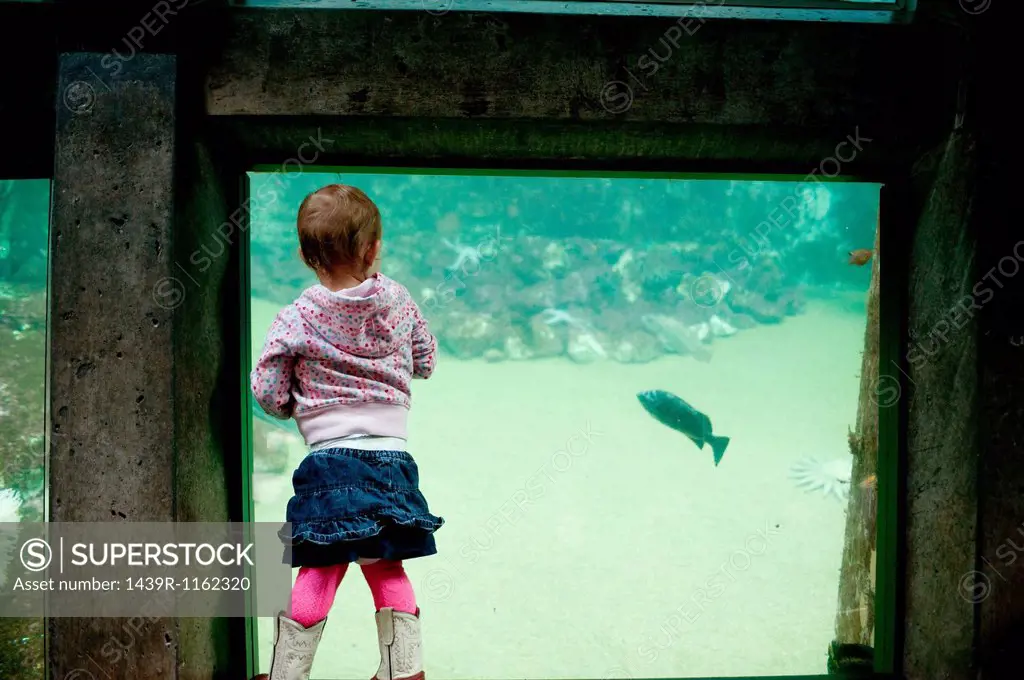 Young girl looking at fish in aquarium