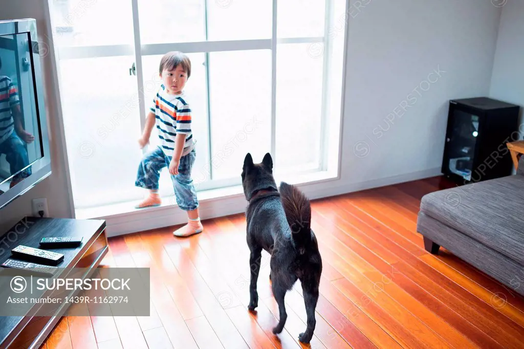 Boy in living room with pet dog