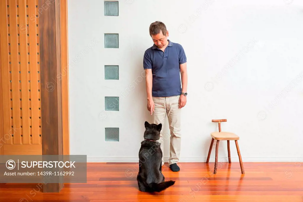 Man training his pet dog