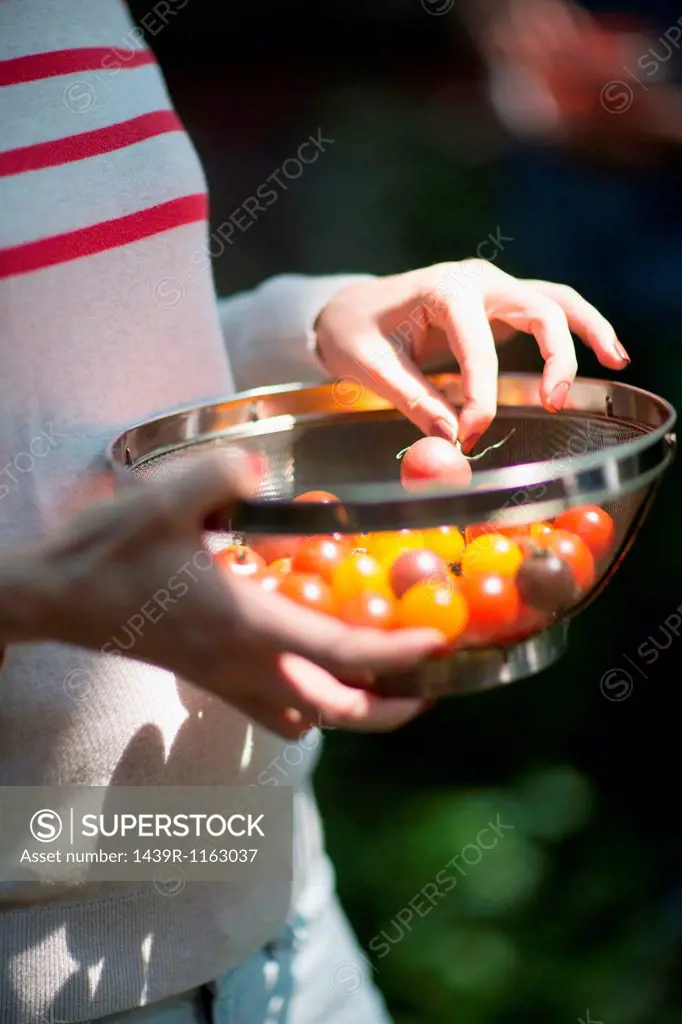 Woman holding sieve of tomatoes