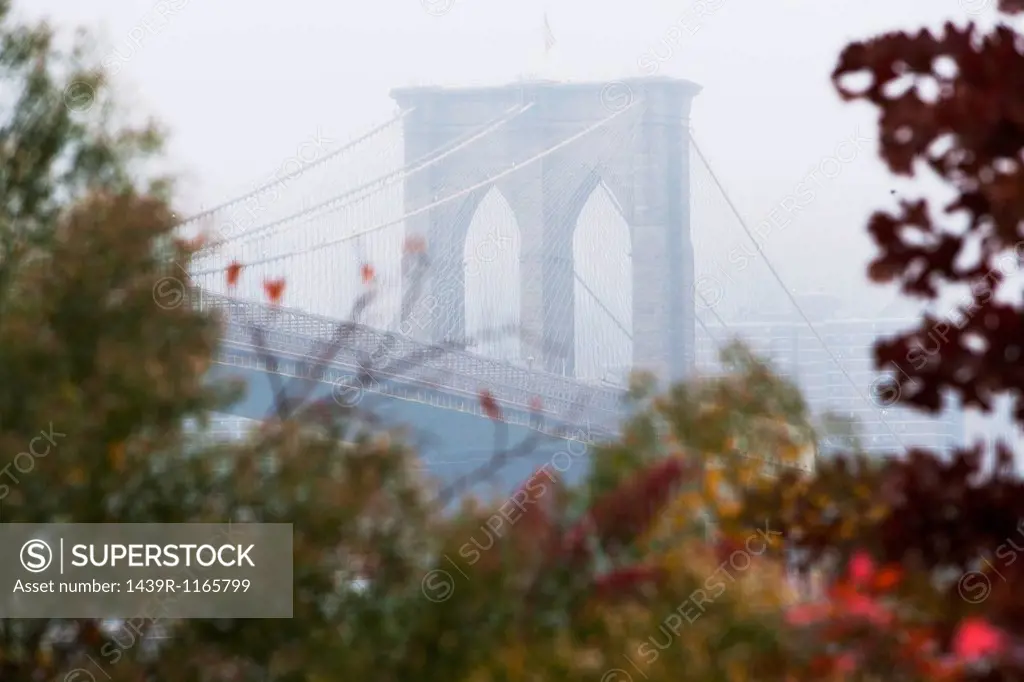 Detail of Brooklyn Bridge in mist, New York City, USA