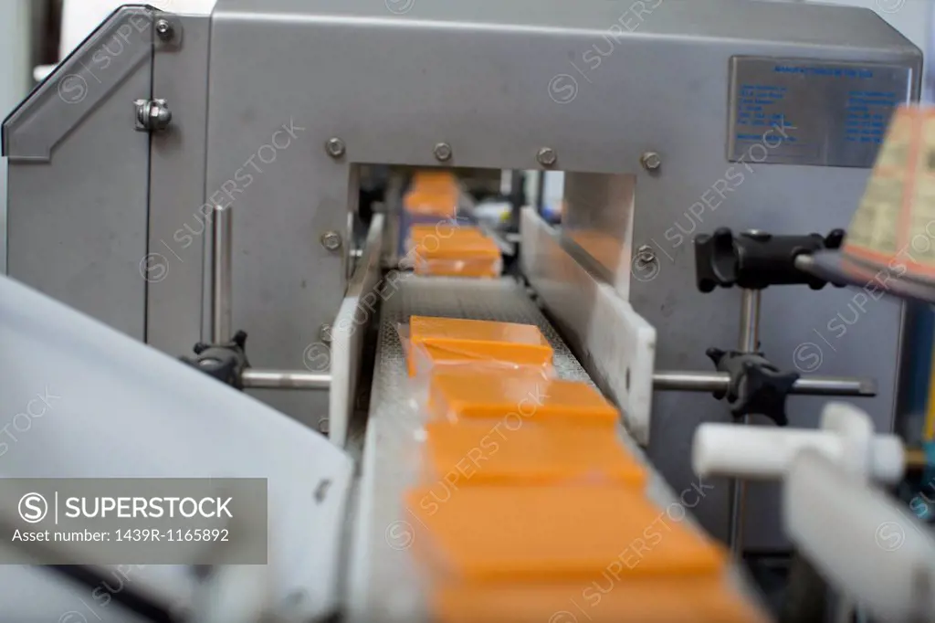 Vegan cheese on conveyor belt in warehouse