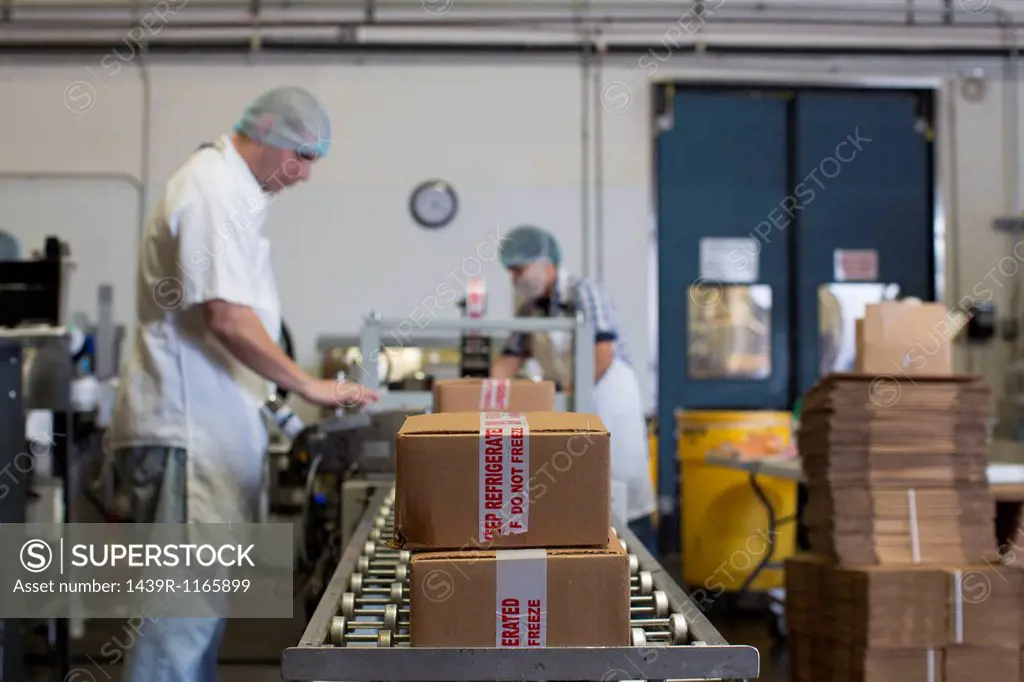 Factory workers packaging cardboard boxes