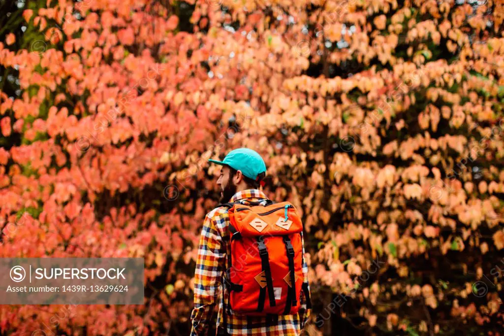 Young man in rural setting, carrying backpack, rear view