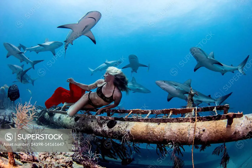 Underwater view of female free diver in bikini looking back at reef sharks, Bahamas