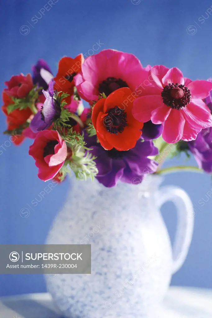 A vase of flowers