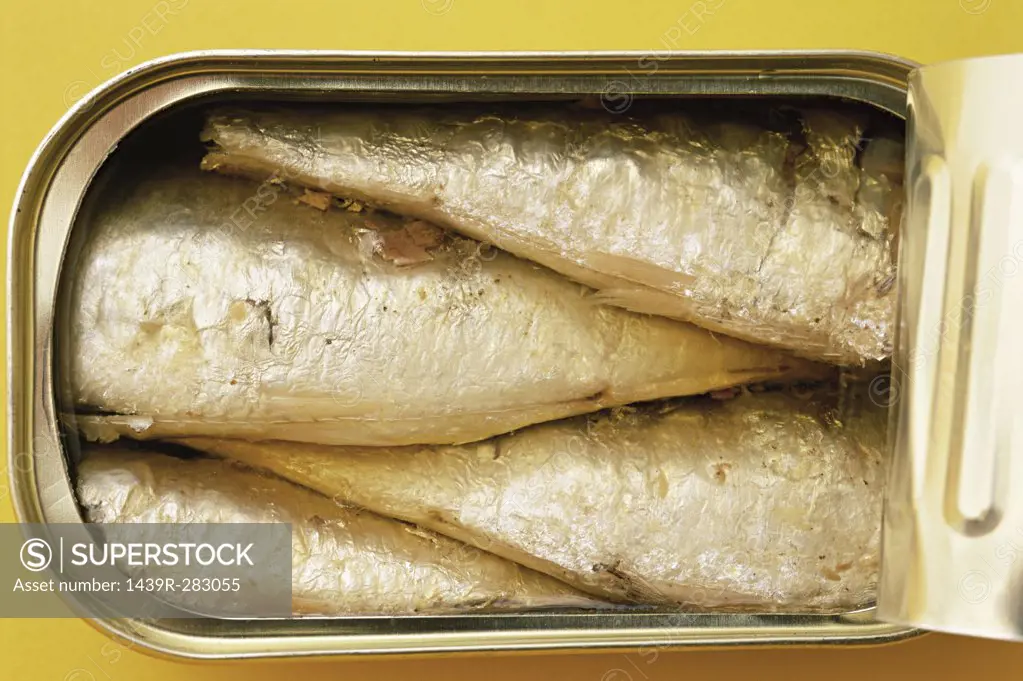 Close-up of sardines in a tin