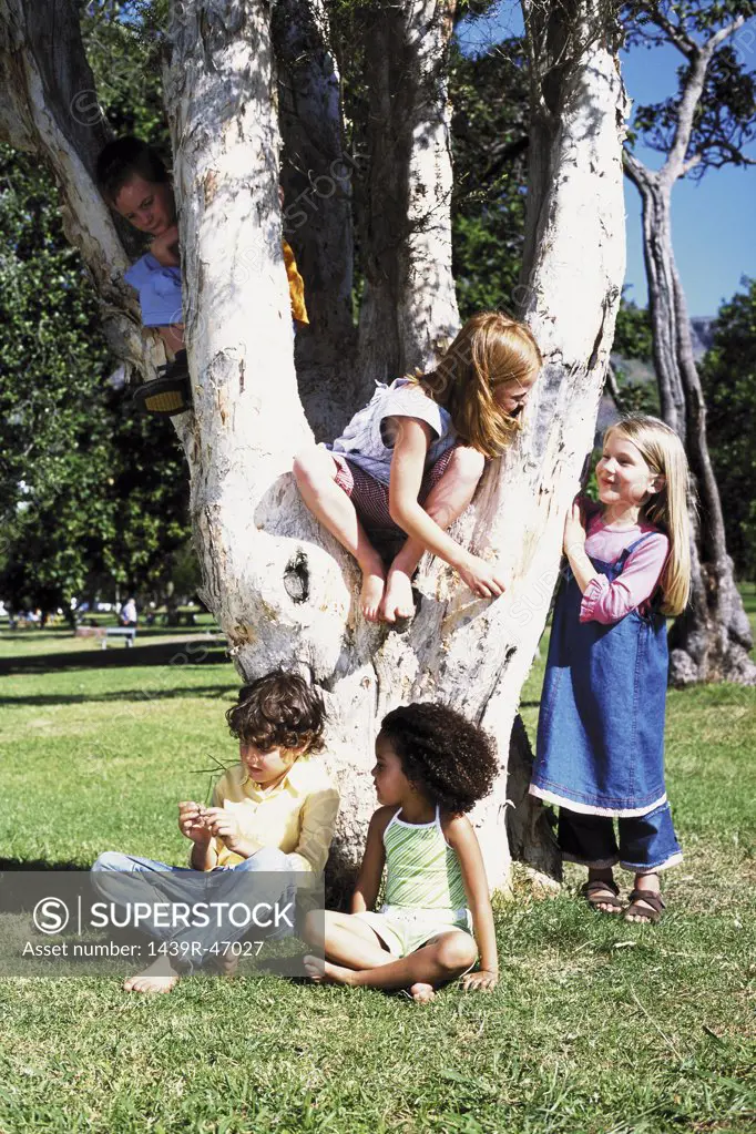 Kids playing on a tree