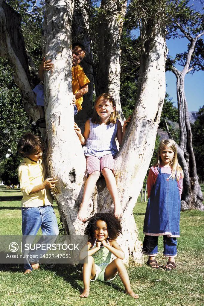 Friends playing on a tree