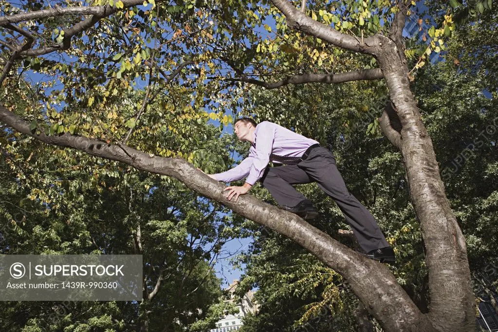 Businessman climbing a tree
