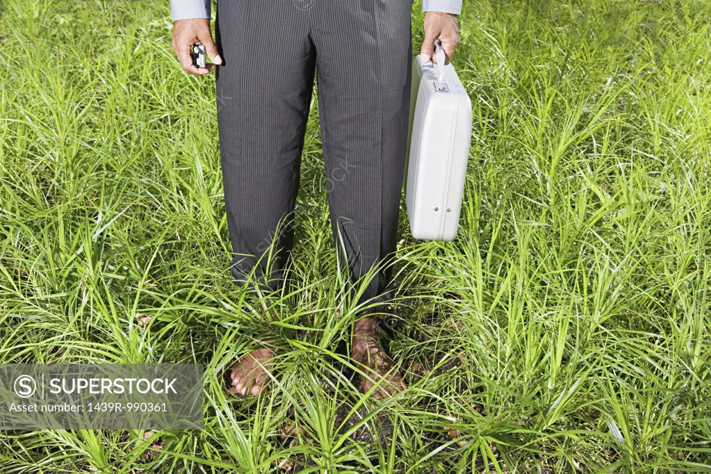 Businessman standing in overgrown grass