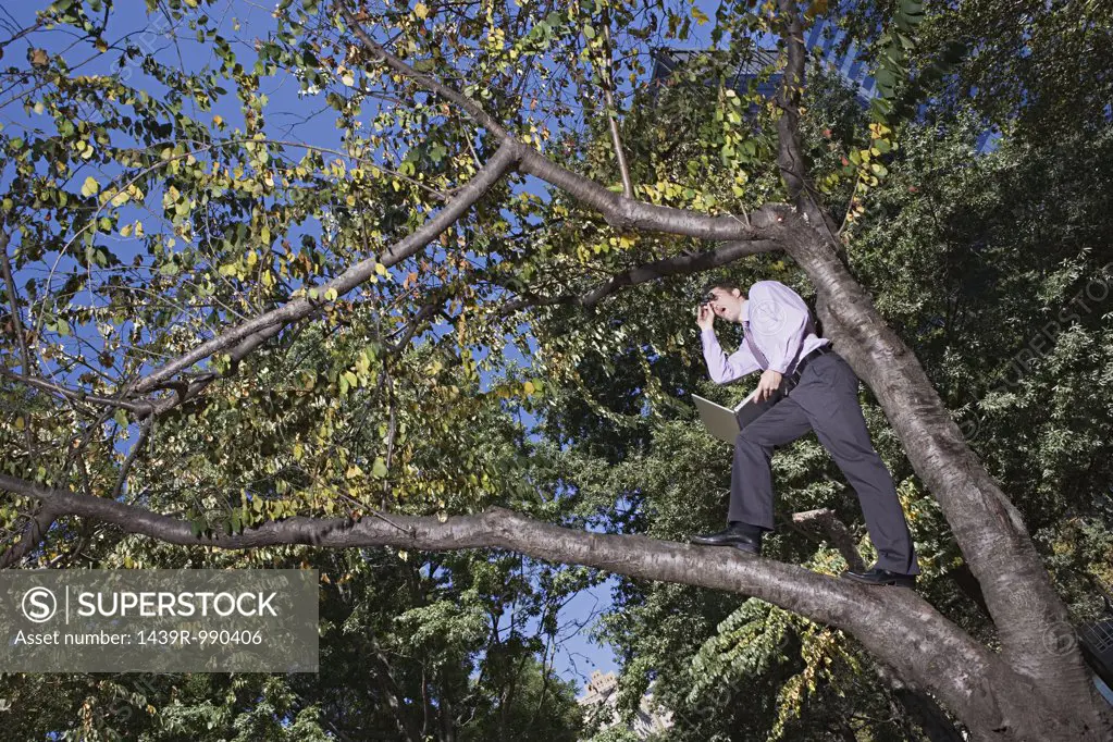 Office worker using binoculars on a tree