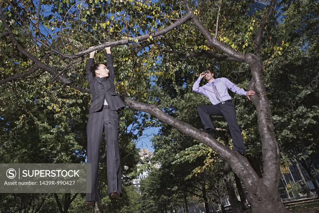 Businesspeople in a tree