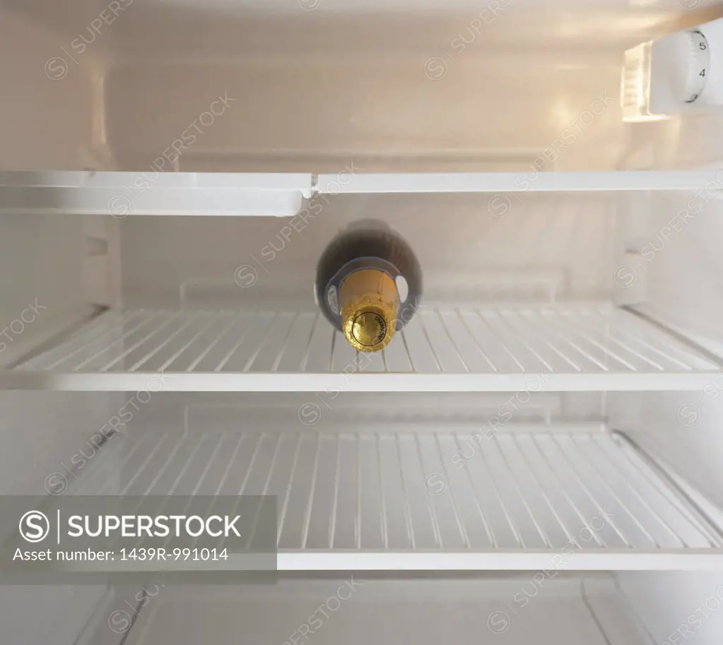 Champagne bottle in a refrigerator