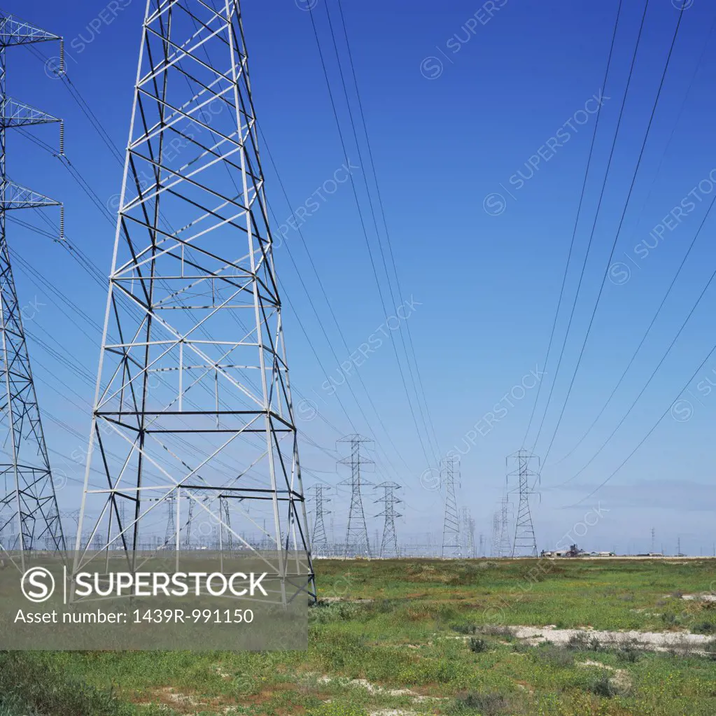 Pylons in a field
