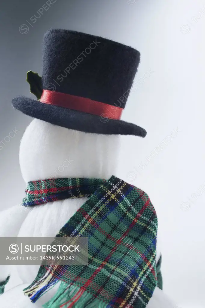 Rear view of a snowman