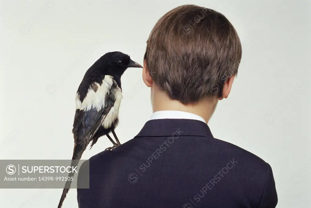 Boy with magpie on his shoulder