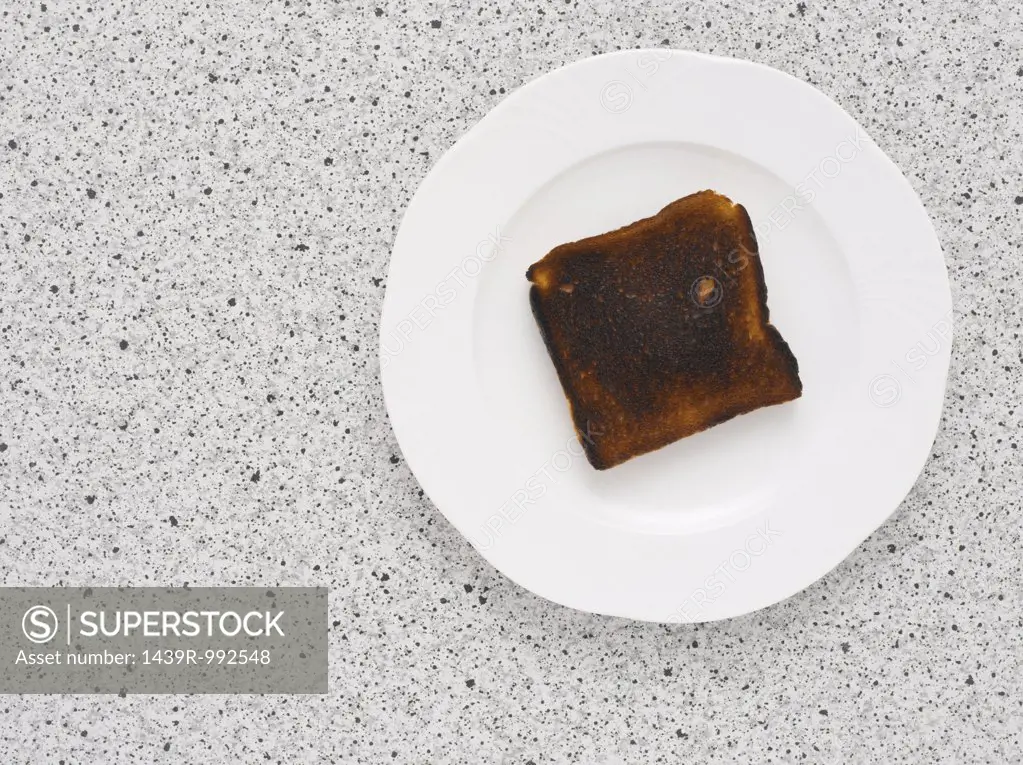 A slice of burnt toast