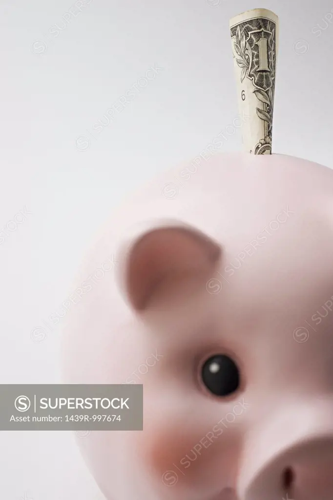 Dollar stuffed in a piggy bank