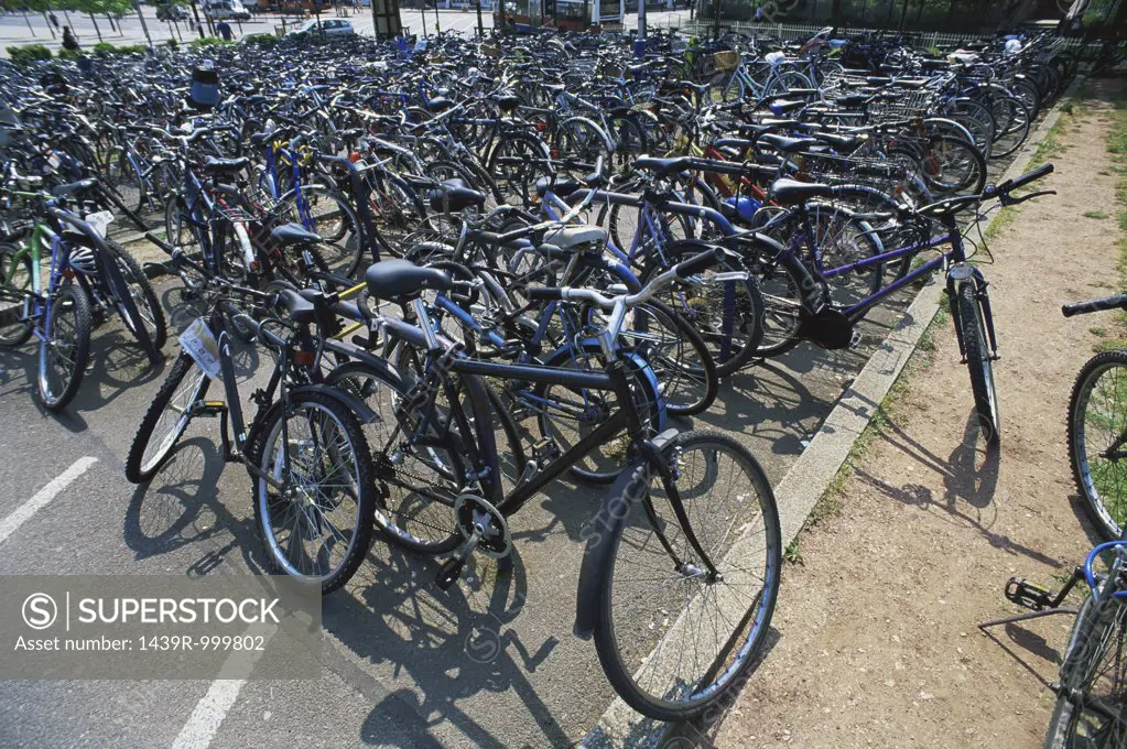 Large group of bicycles