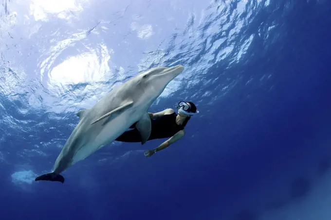 Snorkeler with dolphin.