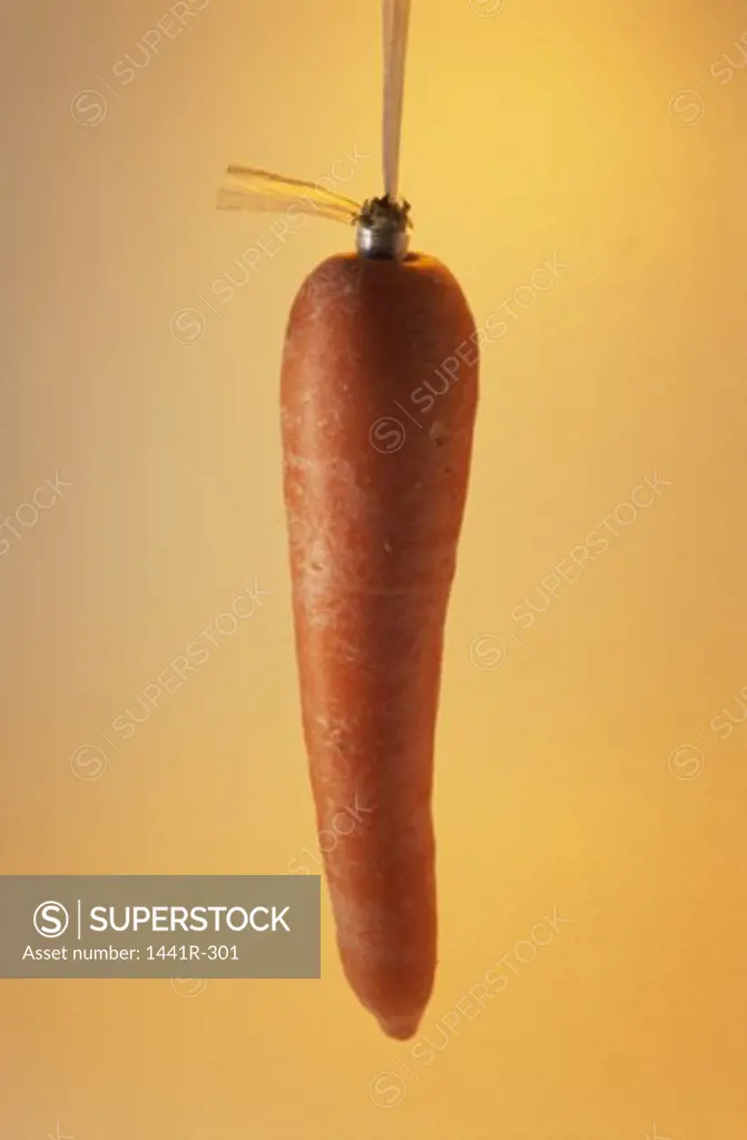 Carrot suspended by a string