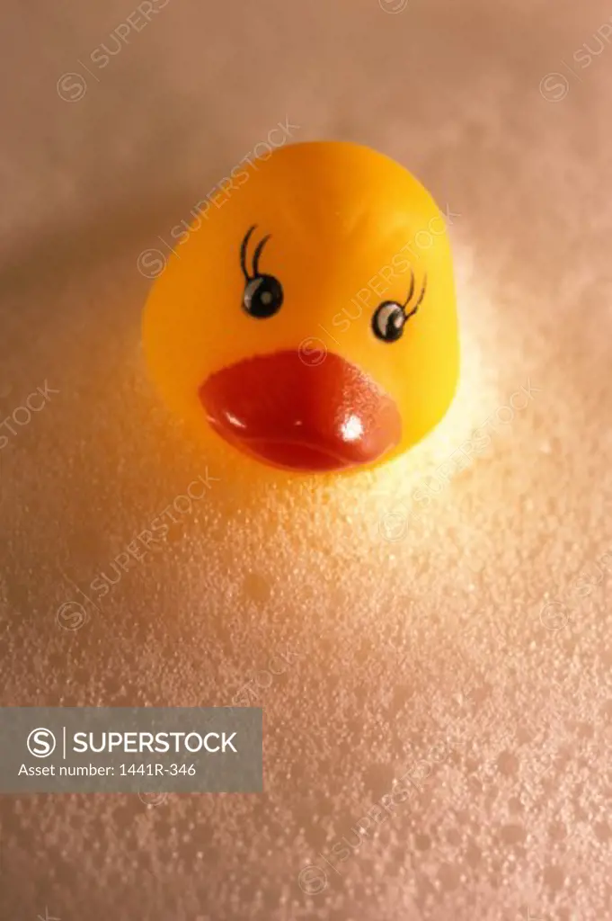 High angle view of a rubber duck
